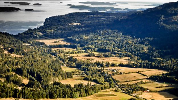 A large number of Hawaiians settled on the western shore of Salt Spring Island (Credit: Silentfoto/Getty Images)