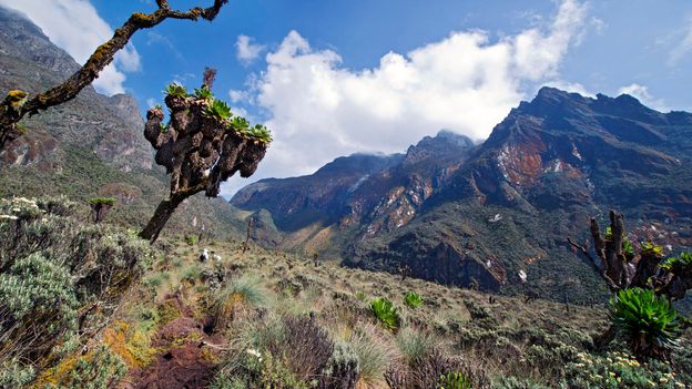 Uganda’s Rwenzori Mountains were coined the “Mountains of the Moon” (Credit: Credit: Guenterguni/Getty Images)