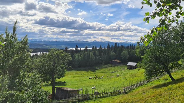 Summer farms like Skallskog are inextricably linked to the ancient Swedish singing tradition of kulning (Credit: Credit: Justin Calderón)