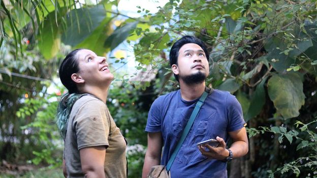 Priscillia Miard and zoology student Fizri Zubir observe colugos at The Andaman Resort (Credit: Credit: Thomas Bird) Priscillia Miard and zoology student Fizri Zubir observe colugos at The Andaman Resort (Credit: Credit: Thomas Bird)