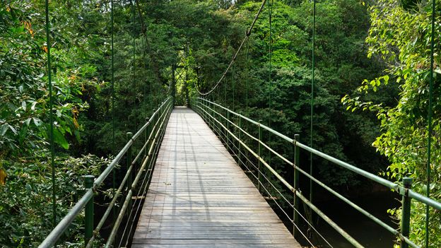 A chain-linked suspension bridge spans the Costa Rica's Sarapiquí River (Credit: Credit: Nigel Francis/Alamy) A chain-linked suspension bridge spans the Costa Rica's Sarapiquí River (Credit: Credit: Nigel Francis/Alamy)