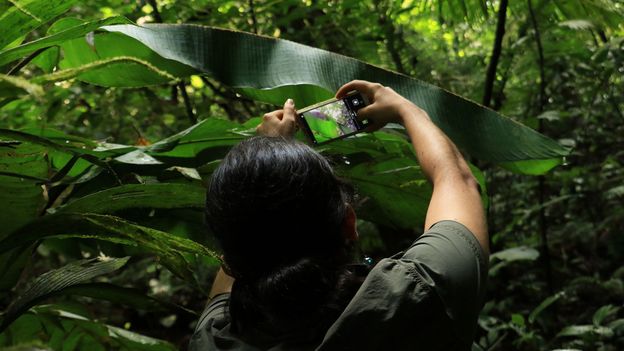 In Sarapiquí, building awareness around conservation has taken time (Credit: Credit: Emmanuel Rojas Valerio) In Sarapiquí, building awareness around conservation has taken time (Credit: Credit: Emmanuel Rojas Valerio)