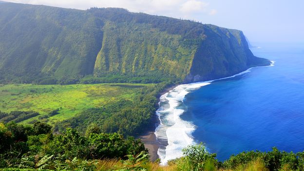 The odd Hawaiian fish that climbs cliffs