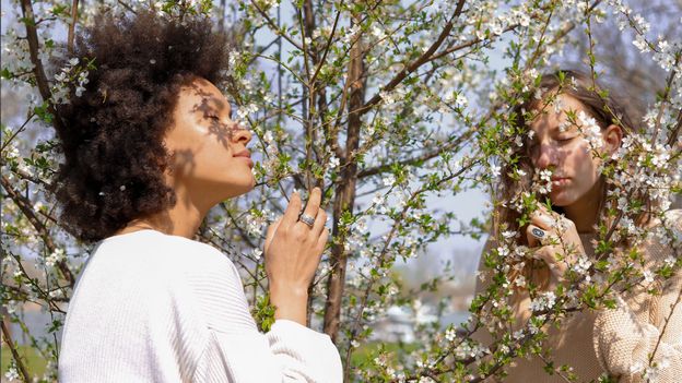 How your sense of smell predicts your overall health - BBC Future