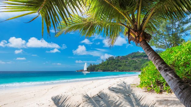 Ackee and saltfish is as synonymous with Jamaica as the island's picture-perfect beaches (Credit: Credit: Lucky Photographer/Getty Images)