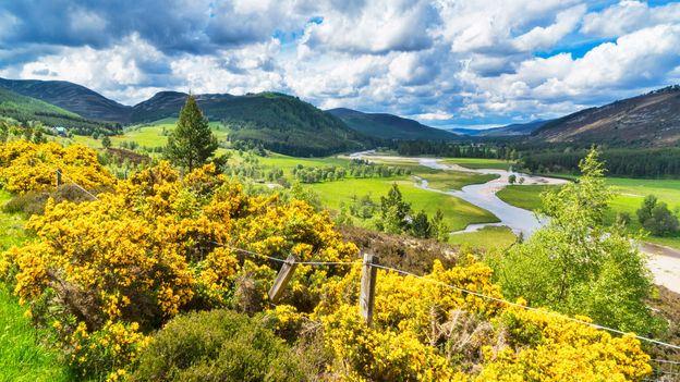 While English is the main language spoken in Scotland, the nation has a wide range of different accents and dialects (Credit: Credit: Dennis Barnes/Getty Images) While English is the main language spoken in Scotland, the nation has a wide range of different accents and dialects (Credit: Credit: Dennis Barnes/Getty Images)