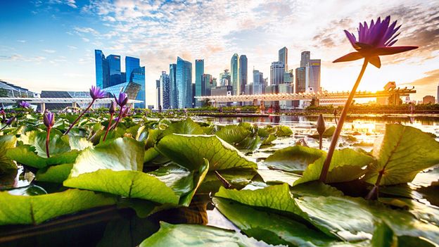 Bbc Travel Singapore S Endless Pursuit Of Cleanliness