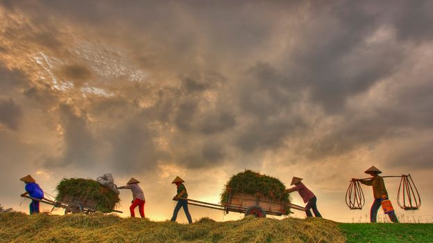Nam Dinh is a traditionally agricultural region located south of the fertile Red River Delta (Credit: Credit: Vietnam's Peoples and Landscapes/Getty Images)