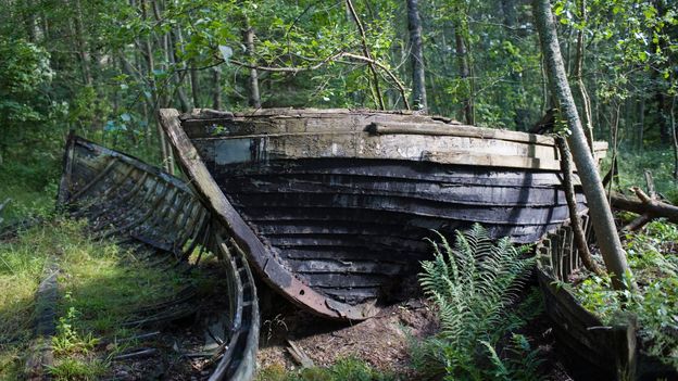 Long-abandoned boats in the forest outside Mazirbe tell the story of Livonian culture under Soviet occupation (Credit: Credit: Imantsu/Getty Images)