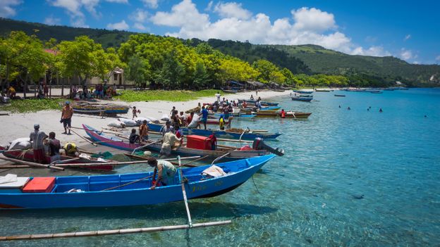 Atauro Island is a 25km stretch of volcanic rock located off the north coast of Timor-Leste (Credit: Credit: David Kirkland/Alamy) Atauro Island is a 25km stretch of volcanic rock located off the north coast of Timor-Leste (Credit: Credit: David Kirkland/Alamy)