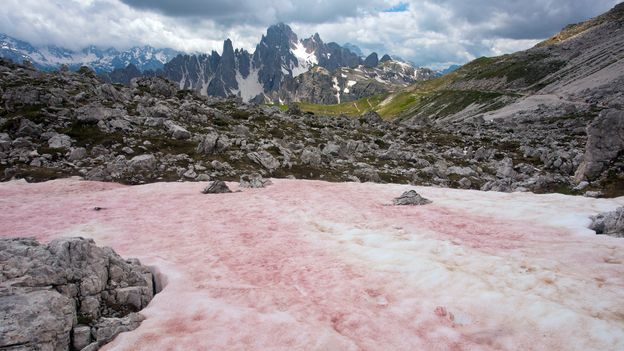 The secrets of the Alps' strange red snow