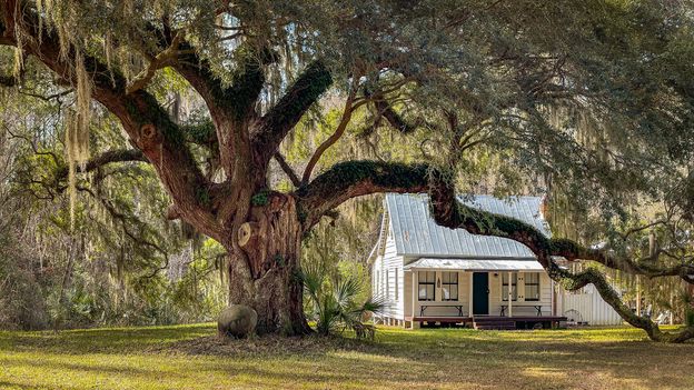 The chef preserving Gullah culture through storytelling