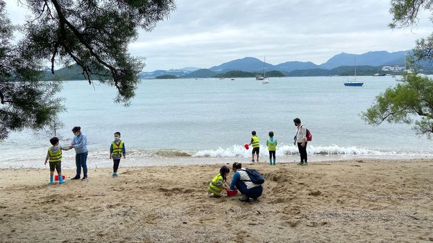 Do children learn better in forest schools?