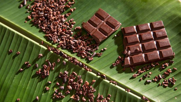 Cacao – Ancient Mayan Superfood for Men – Belizean Gold