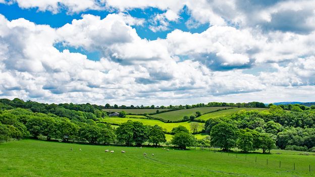 The Cornish farm that plans to last 1,000 years