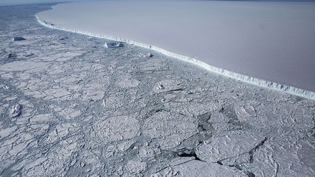 The rich marine life under frozen ice