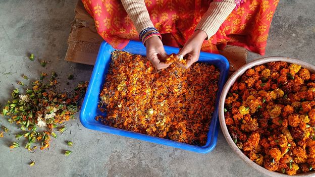 The vegan leather made from India’s waste flowers