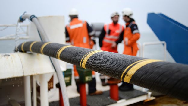 How undersea cables may affect marine life