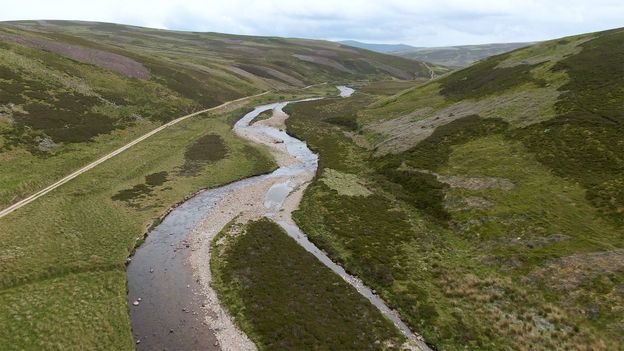 Freshwater pearl mussels: Scotland's little-known royal gems - BBC Travel