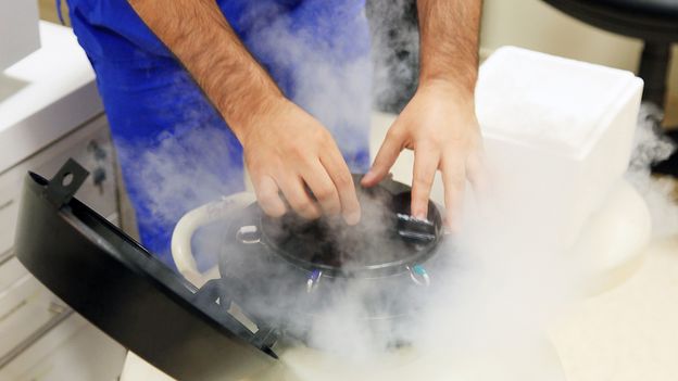 The proactive fertility care industry is soaring. Is that a good thing? - B