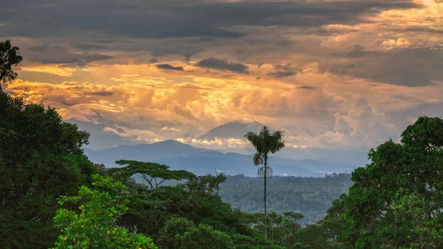 The discovery of the Americas' long-lost 'Rome' - BBC Travel