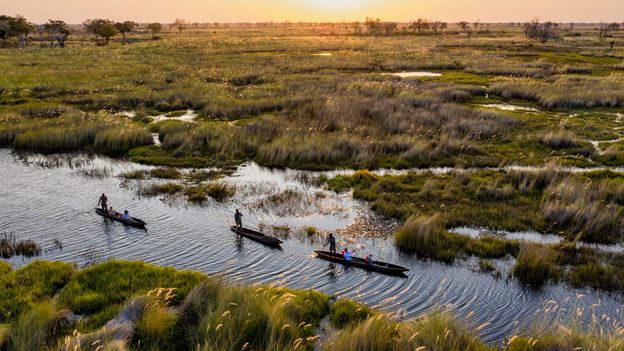 Botswana's inspirational women safari guides who are navigating change