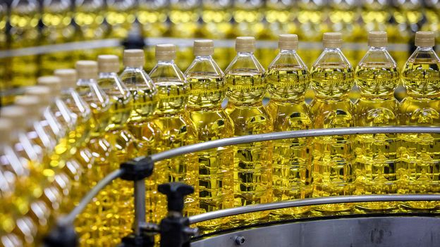 What is the healthiest cooking oil?