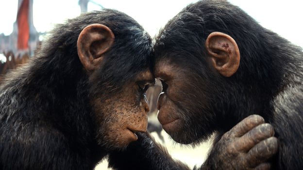 Kingdom of the Planet of the Apes review: Latest instalment is 'the definition of generic'