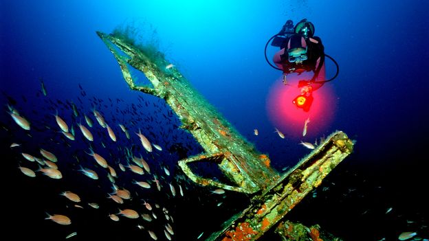 D-Day shipwrecks were a WW2 time capsule – now they are home to rich ocean-floor life