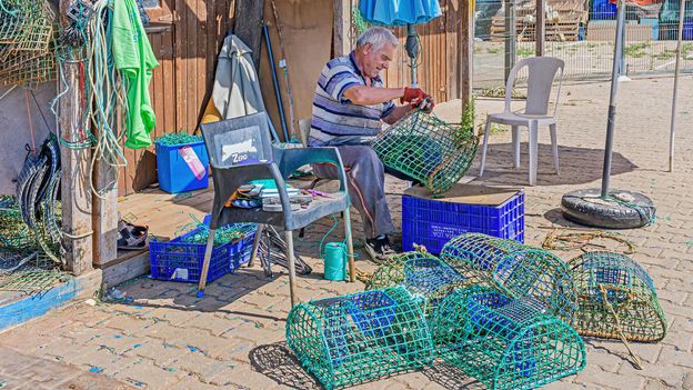 The octopus fishermen protecting Portugal's largest reef