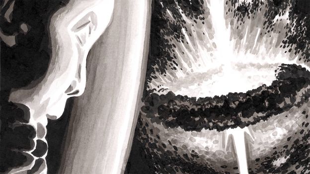 In a special illustrated feature, Ben Platts-Mills explains why Albert Einstein and other eminent physicists refused to believe black holes could be r