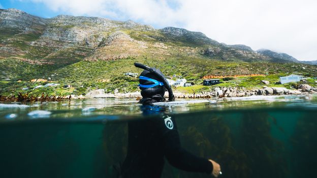 Documentarian Craig Foster’s guide to Cape Town’s most epic underwater adventures