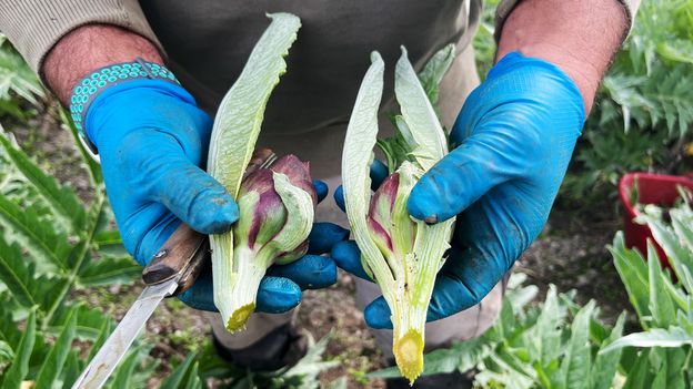 https://ychef.files.bbci.co.uk/624x351/p0l7vv9s.jpg
