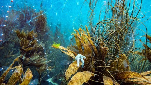 The best science pictures of the week