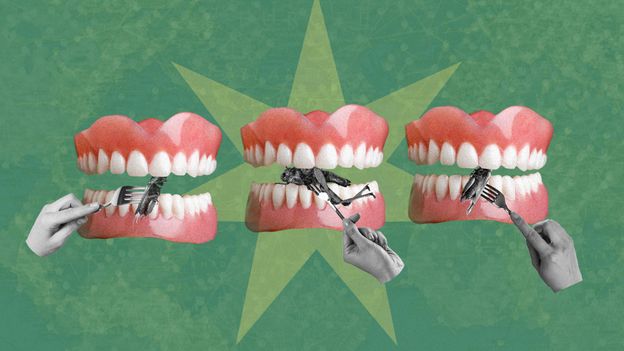 How eating insects became a conspiracy theory