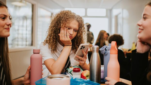 Anti-social: It's fads, not friends, which now dominate our feeds