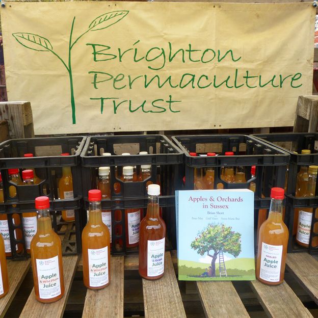 Apple juice is on display at Brighton Permaculture Trust (Credit: Norman Miller)