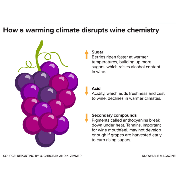 Climate Change Effects 2024 Marla Georgeanna Climate Change Effects 2024 Marla Georgeanna