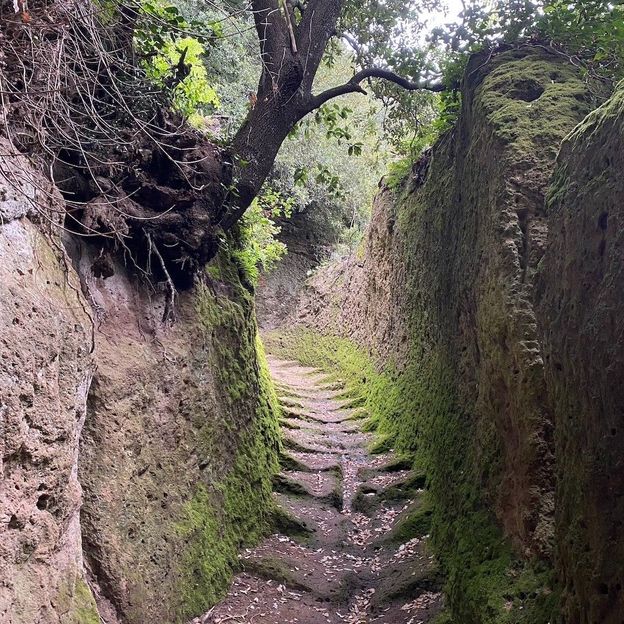 Some cave roads are narrow, with finely cut stairs; others are lush jungles of moss and ferns contained by giant walls (Credit: Joel Balsam)