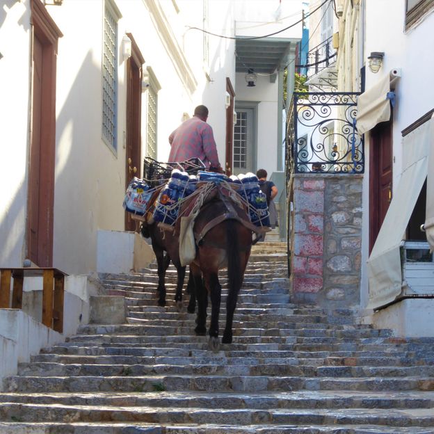 Donkeys are the only way to move supplies through the town's steep hills and alleys (Credit: Molly Dailide)