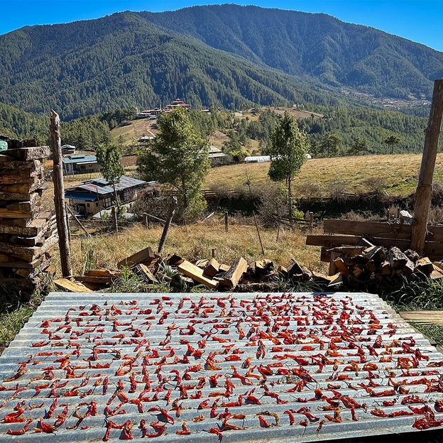Bhutanese dry chillies on rooftops, hanging from windows and across the ground (Credit: Nicole Melancon)