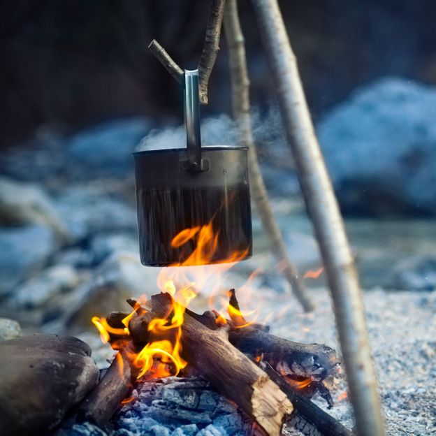 Bushcraft courses, where you learn to forage for food, make fire and build shelter, are growing in popularity (Credit: gaspr13/Getty Images)