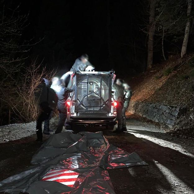 Rangers from the Trentino wildlife department capture JJ4, a bear who killed a jogger this year (Credit: Autonomous Province of Trento)
