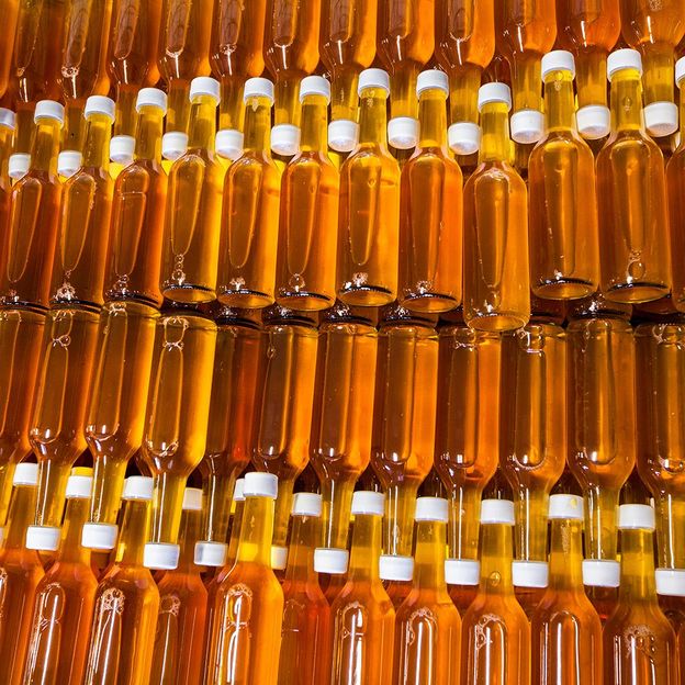 Many Norwegian regions, including Hardangerfjord, produce bottles of prized cider (Credit: Günter Grüner/Alamy)
