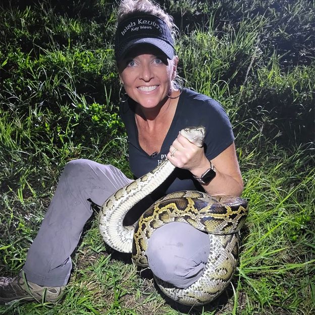 Florida is paying bounty hunters to control its python population - BBC ...