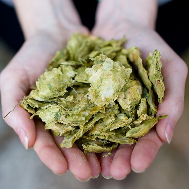 The measures Toast Brewing has taken has shaved emissions off its production process (Credit: Tom Moggach) The measures Toast Brewing has taken has shaved emissions off its production process (Credit: Tom Moggach)