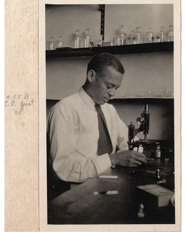 As well as Young’s mentor, Ernest Just, shown here in 1925, was a towering figure in Howard University’s biology department (Credit: Marine Biological Laboratory Archives) As well as Young’s mentor, Ernest Just, shown here in 1925, was a towering figure in Howard University’s biology department (Credit: Marine Biological Laboratory Archives)