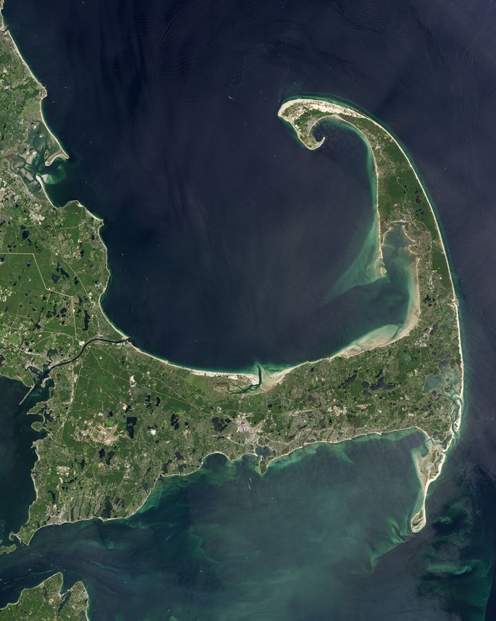 The distinctive curled bicep of Cape Cod, where dolphins are often stranded in shallow waters (Credit: Nasa)