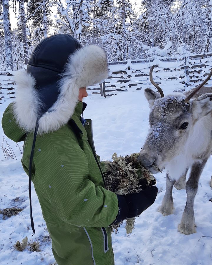 Traditionally, Sámi children are encouraged to be independent and self-reliant (Credit: Angeli Reindeer Farm)