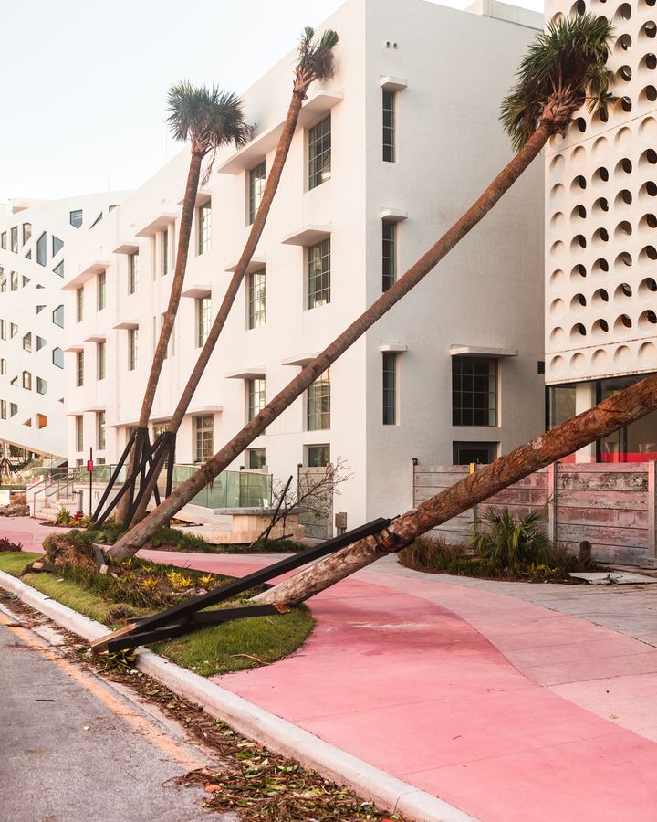 Pink Sidewalk, Florida, 2017, from the series FloodZone (Credit: Anastasia Samoylova)